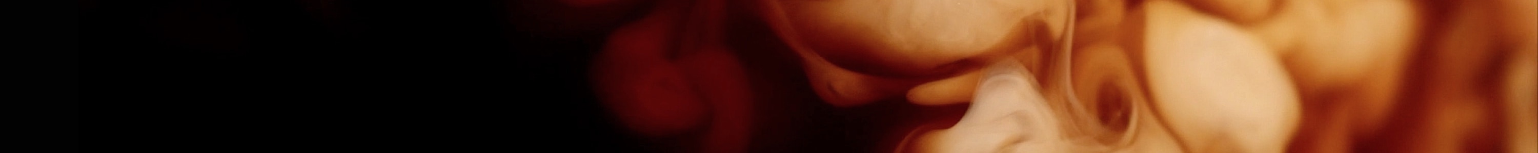 KAWY BIAŁE banner