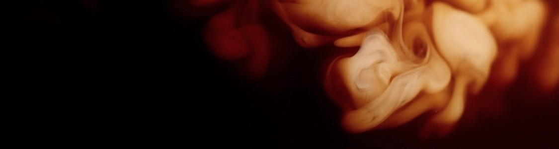 KAWY BIAŁE banner