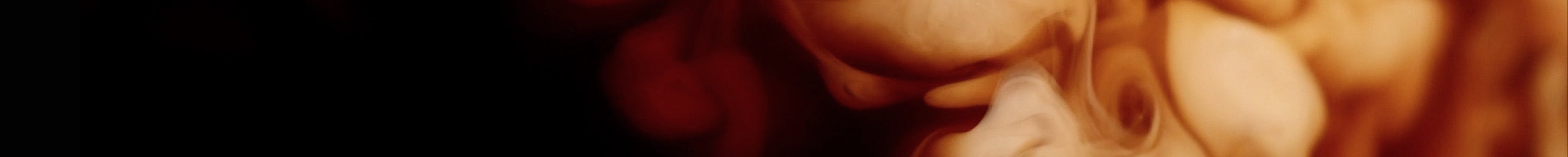 ZESTAWY banner