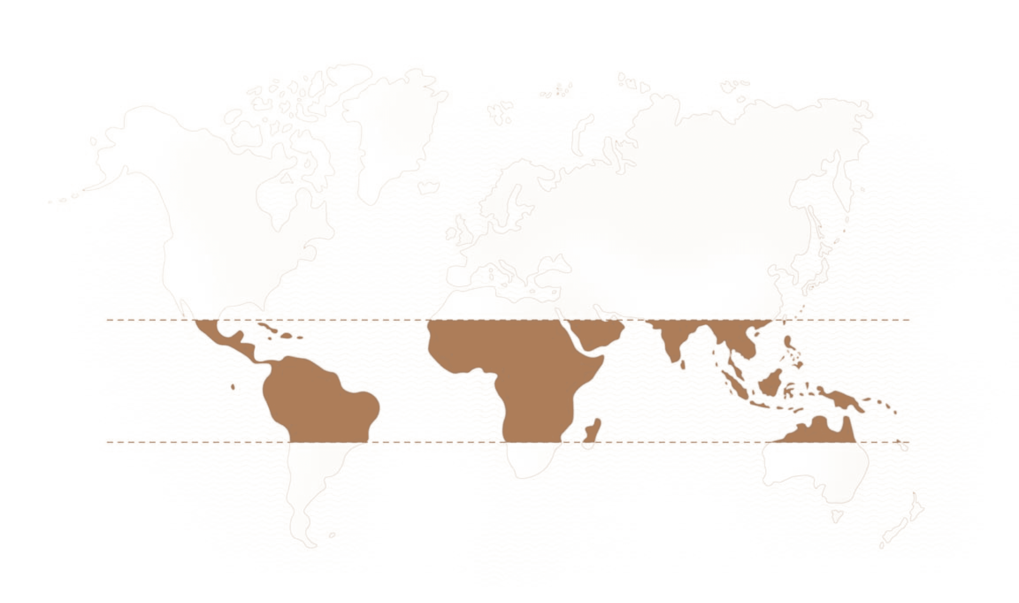 world map