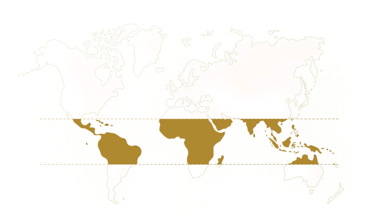 world map