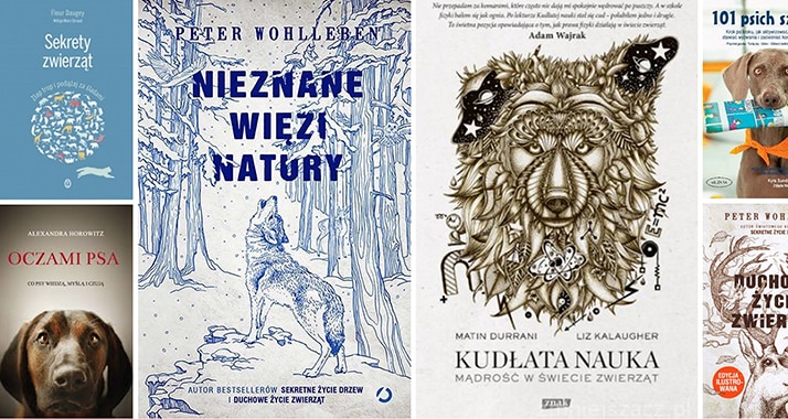 Kochany Święty Mikołaju...