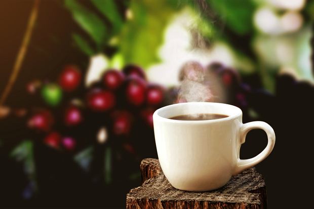 Kawy jednorodne (Fot. NESCAFÉ® Dolce Gusto®)