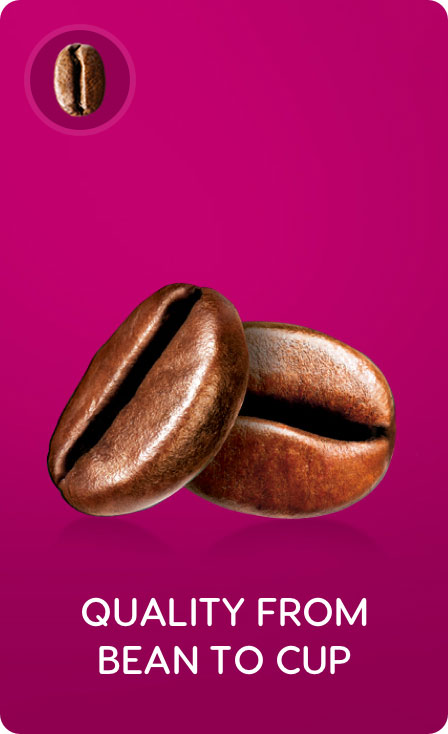 Quality from bean to cup