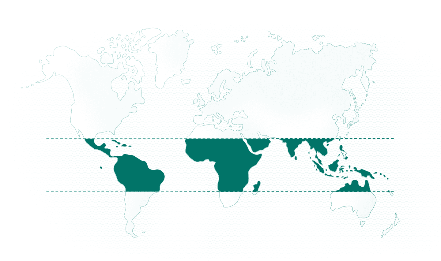 world map
