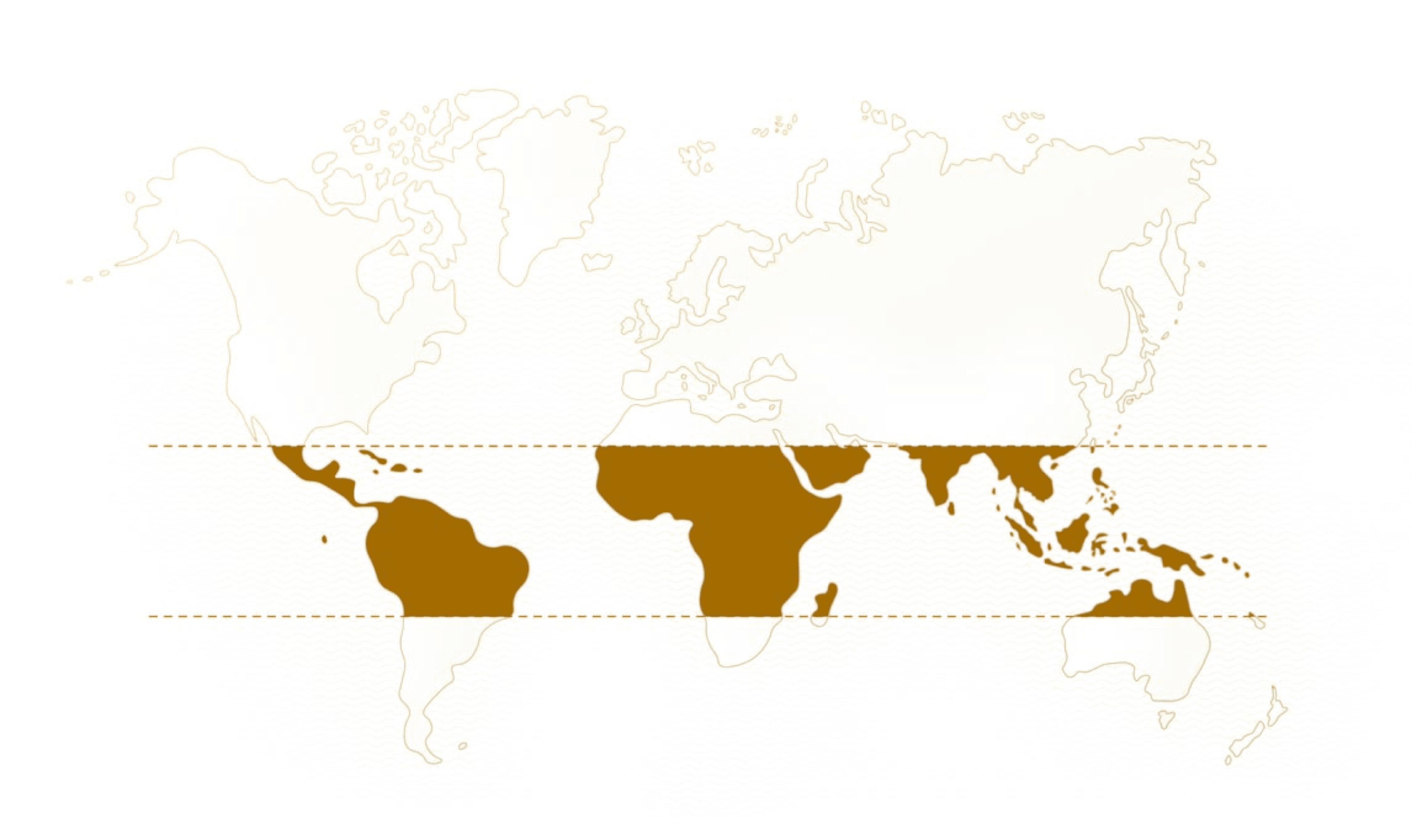 world map