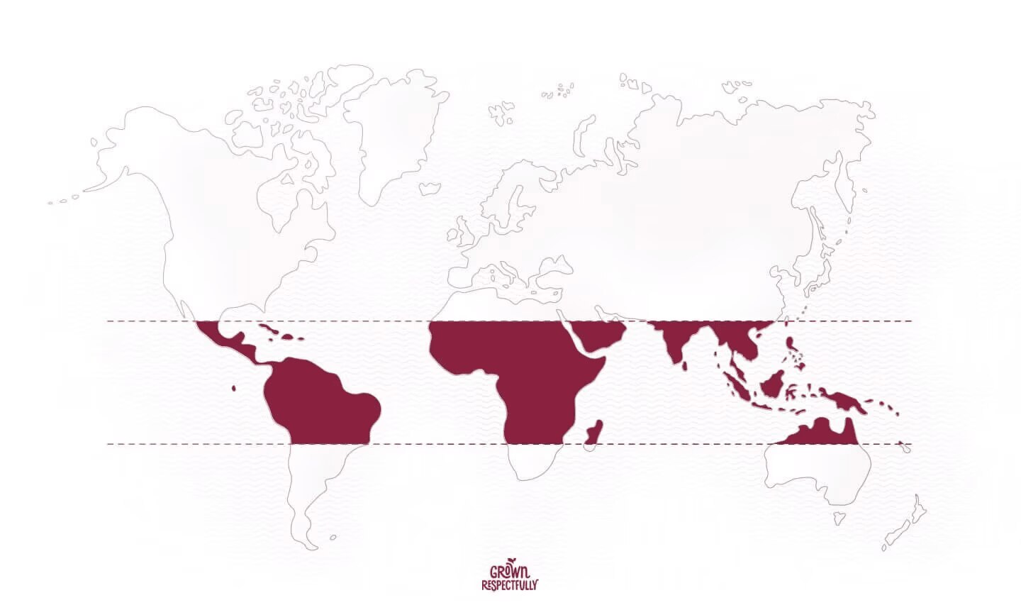 world map