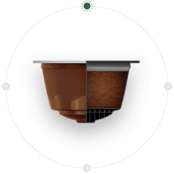 Wnętrze kapsułki nescafé dolce gusto