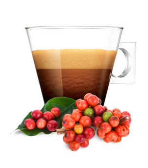 system cup image