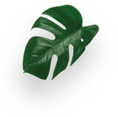 Chococino x6 decoration Image